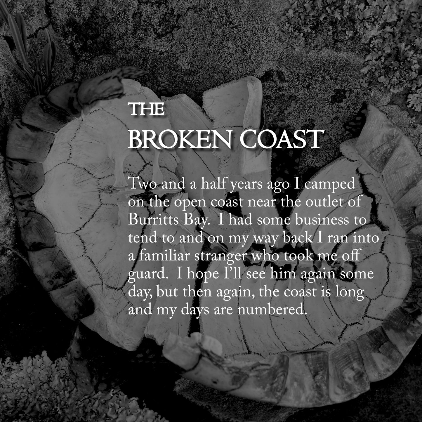 Letters from The Broken Coast