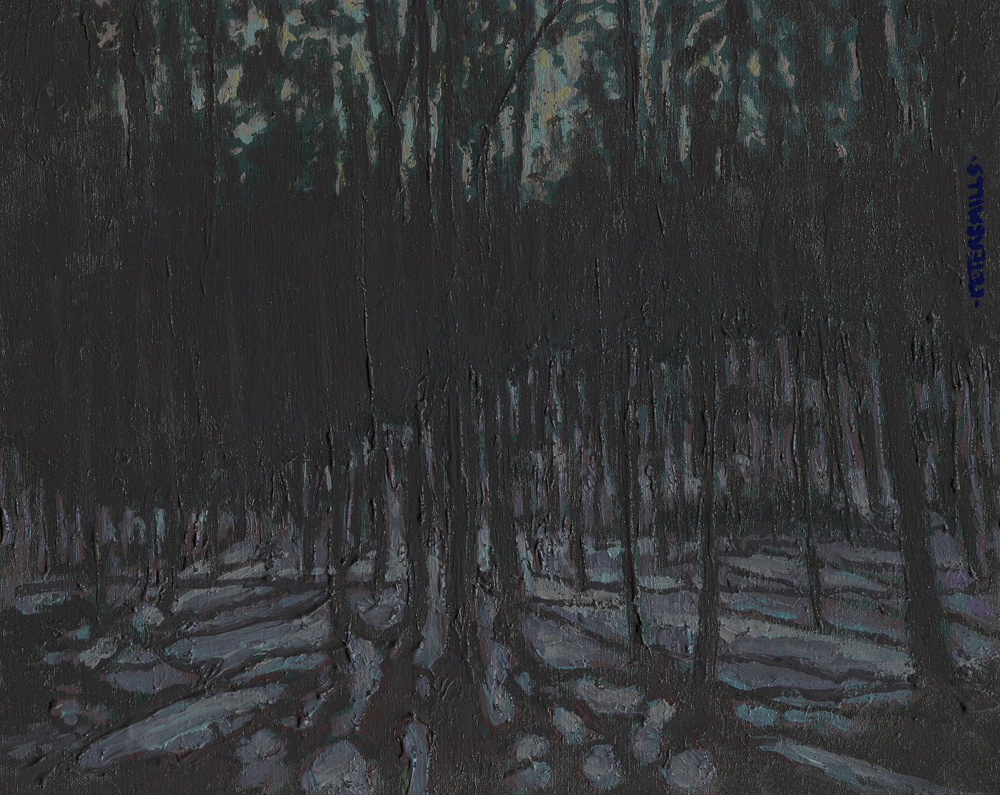 Forest and Winter Moonlight