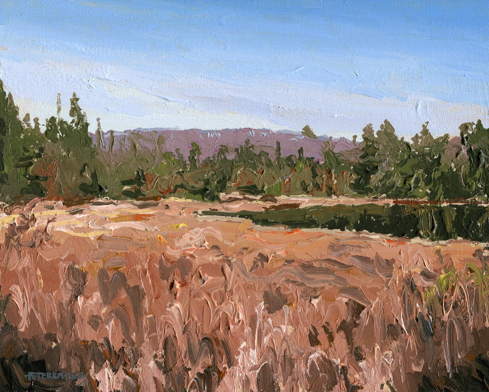 Marshy Shore at Found Lake