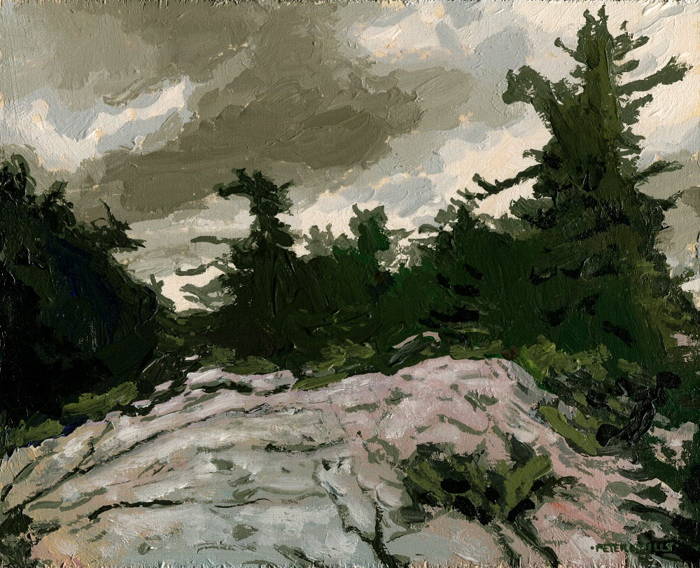 November Pine Barren