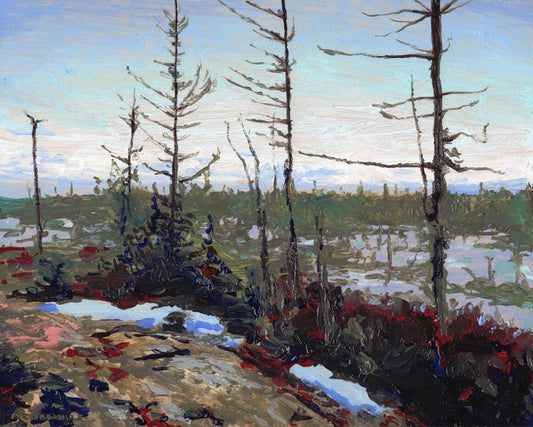 Saturn Bog at Thaw