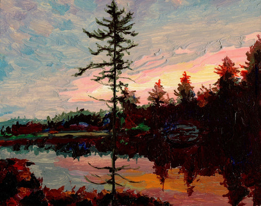 Black Spruce at Dizzy Lake