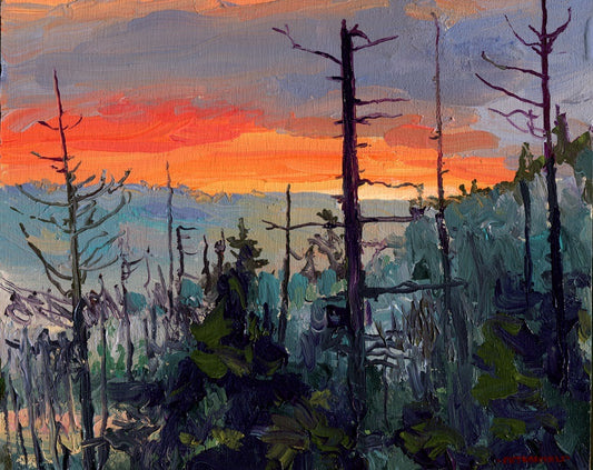 Algonquin Park Morning