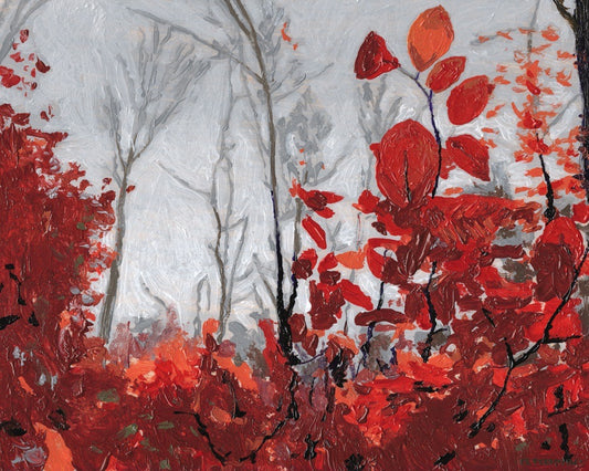 Beech Leaves and Rain