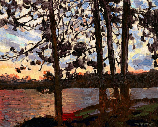 Red Pines, Evening