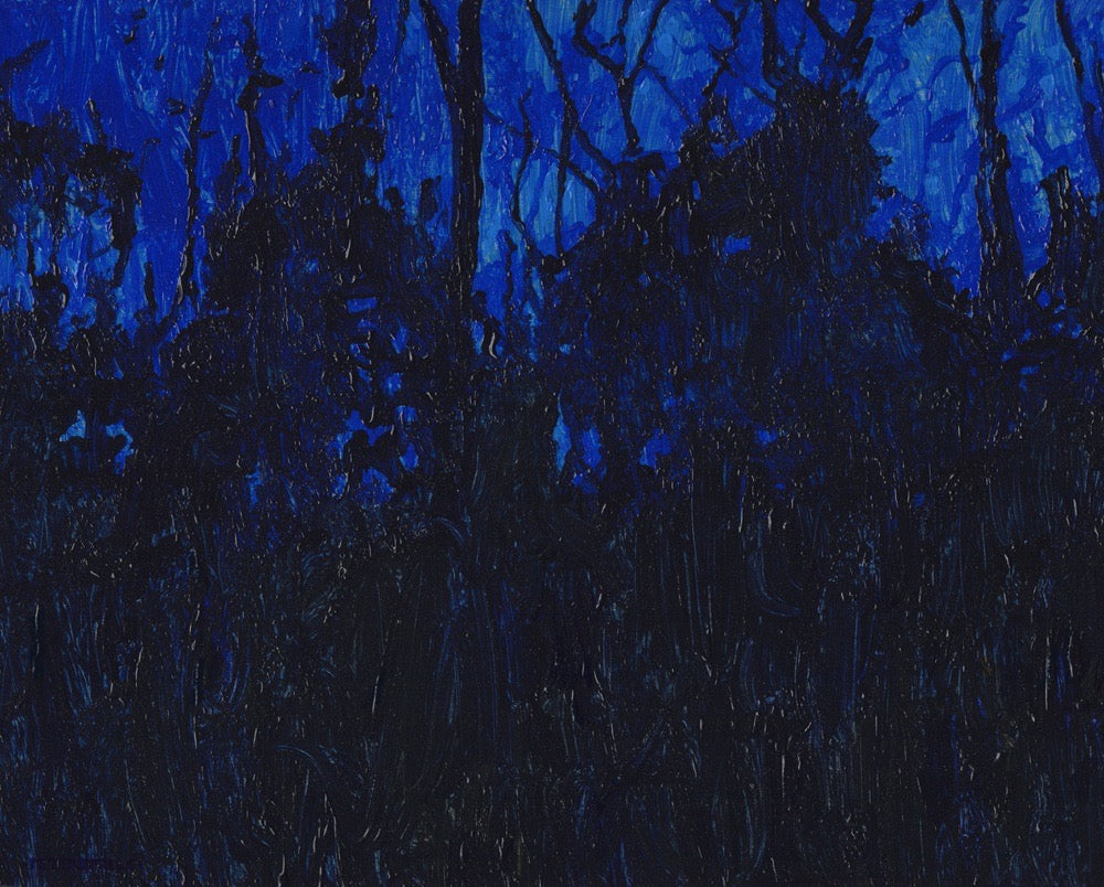 Salamander Rains