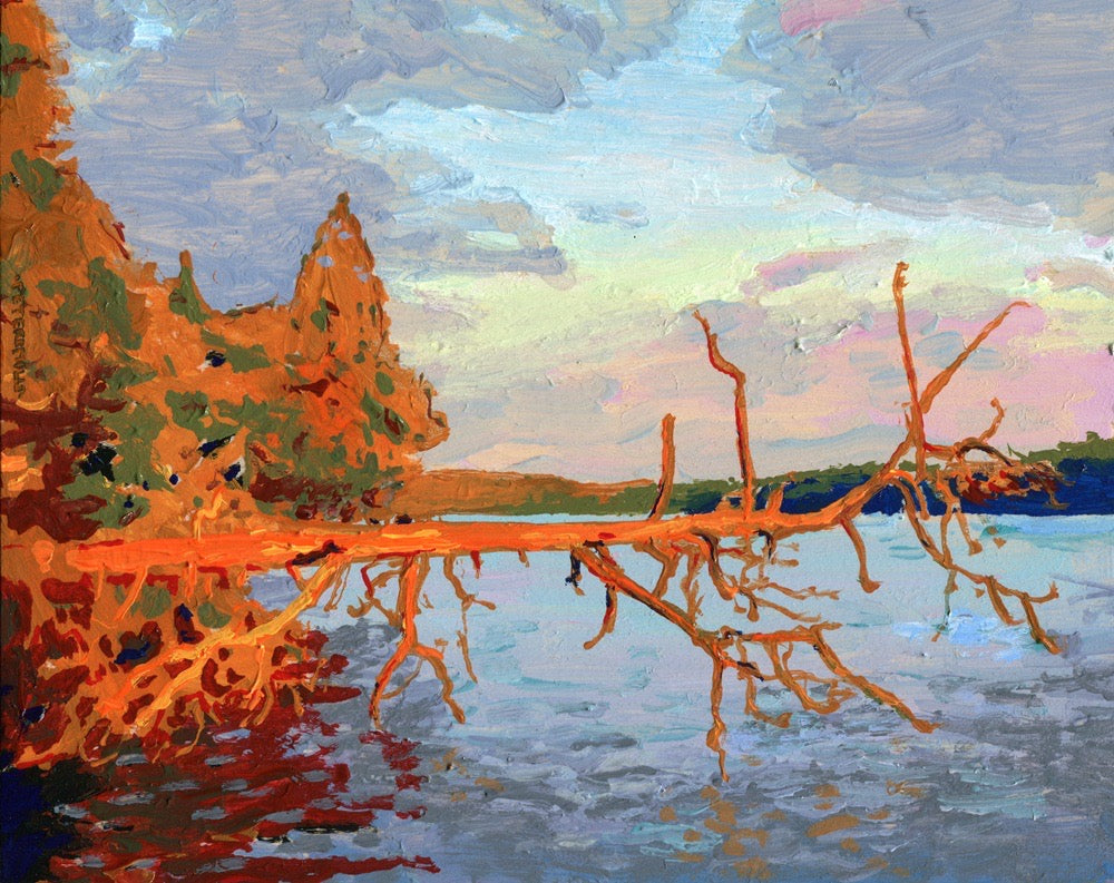 Fallen Pine