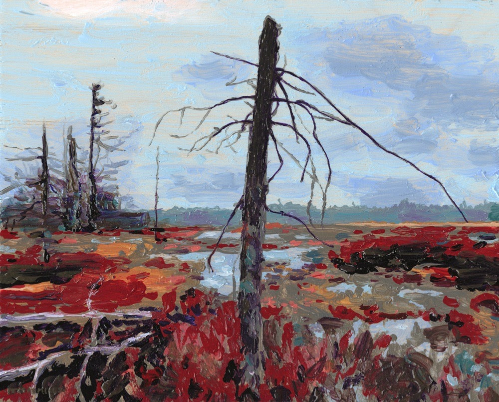 Sentinel at Saturn Bog