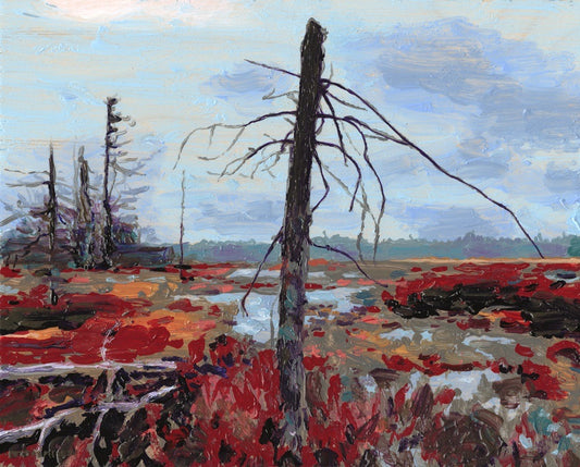 Sentinel at Saturn Bog