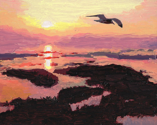 Herring Gull over the Islands