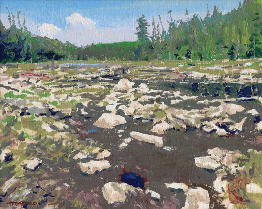 Mud and Rocks