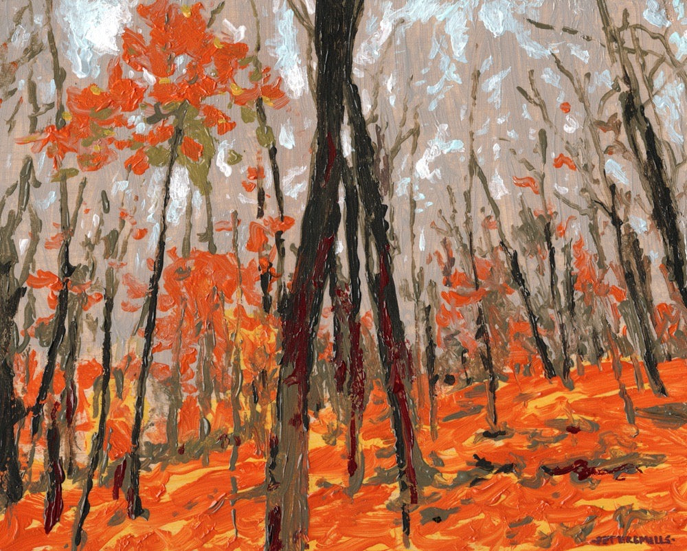 Maple and Orange Leaves