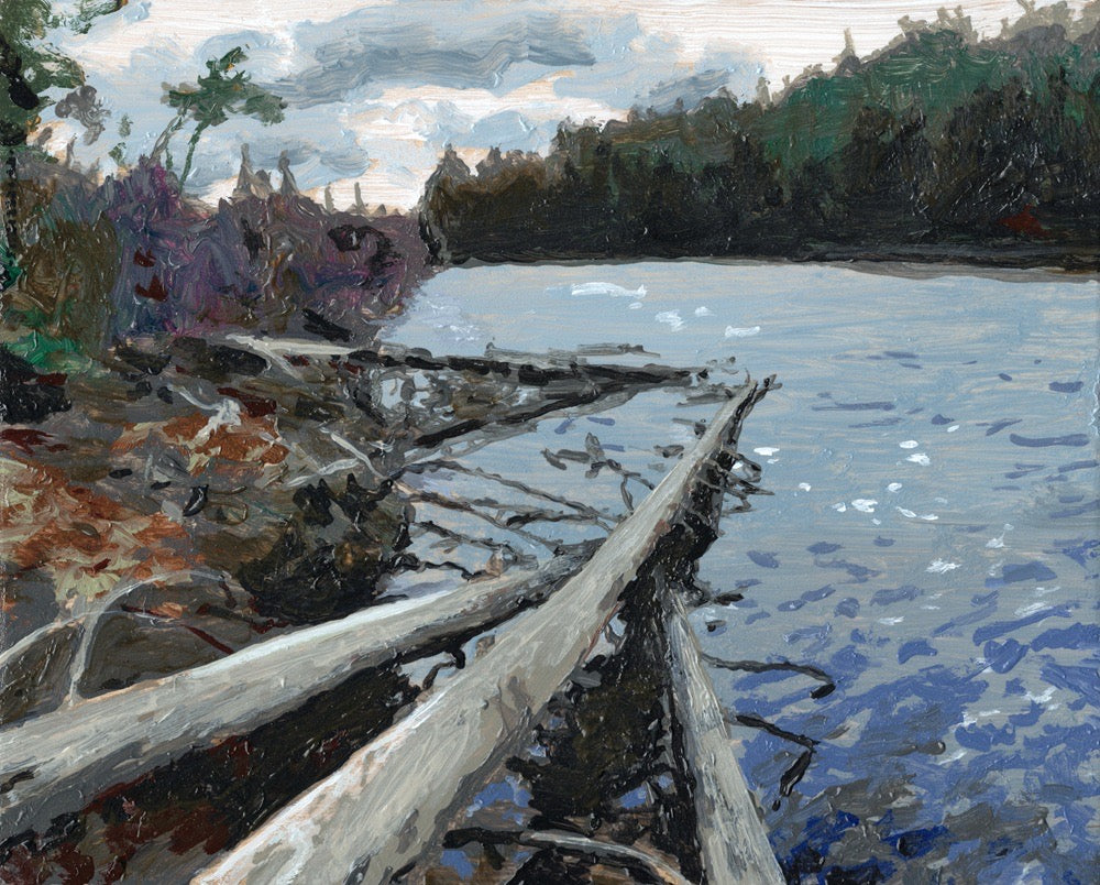 Dead Pines in the River
