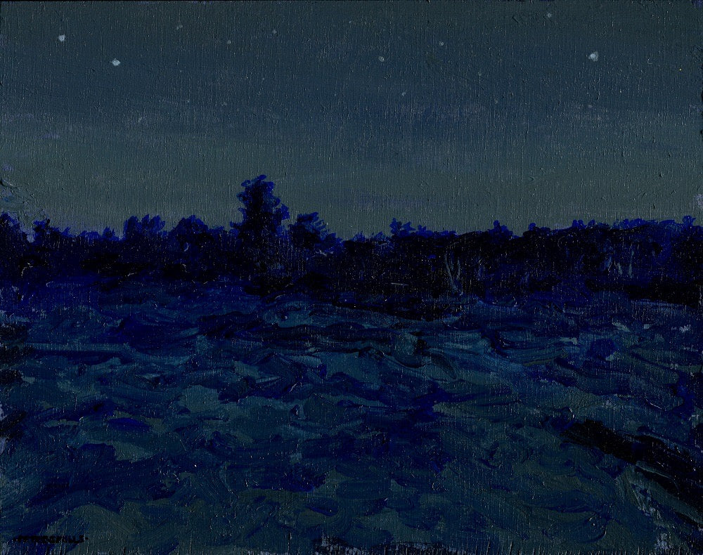 Stars Over The Barrens