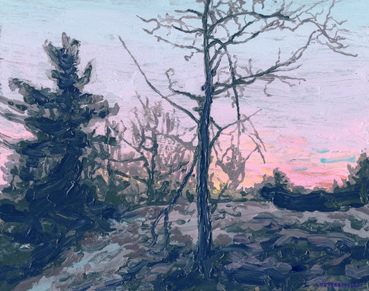 Evening Oak