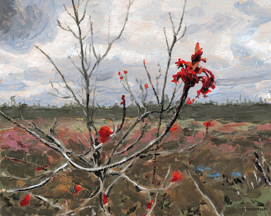 Red Maple Flower