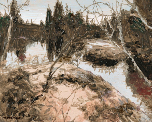 Spring Flood