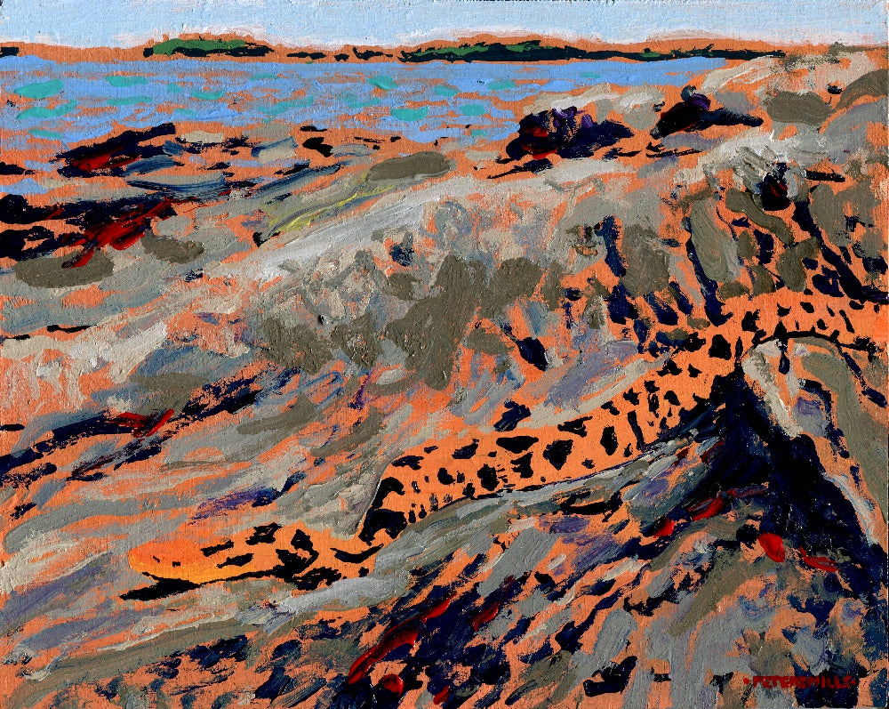 Foxsnake, Georgian Bay