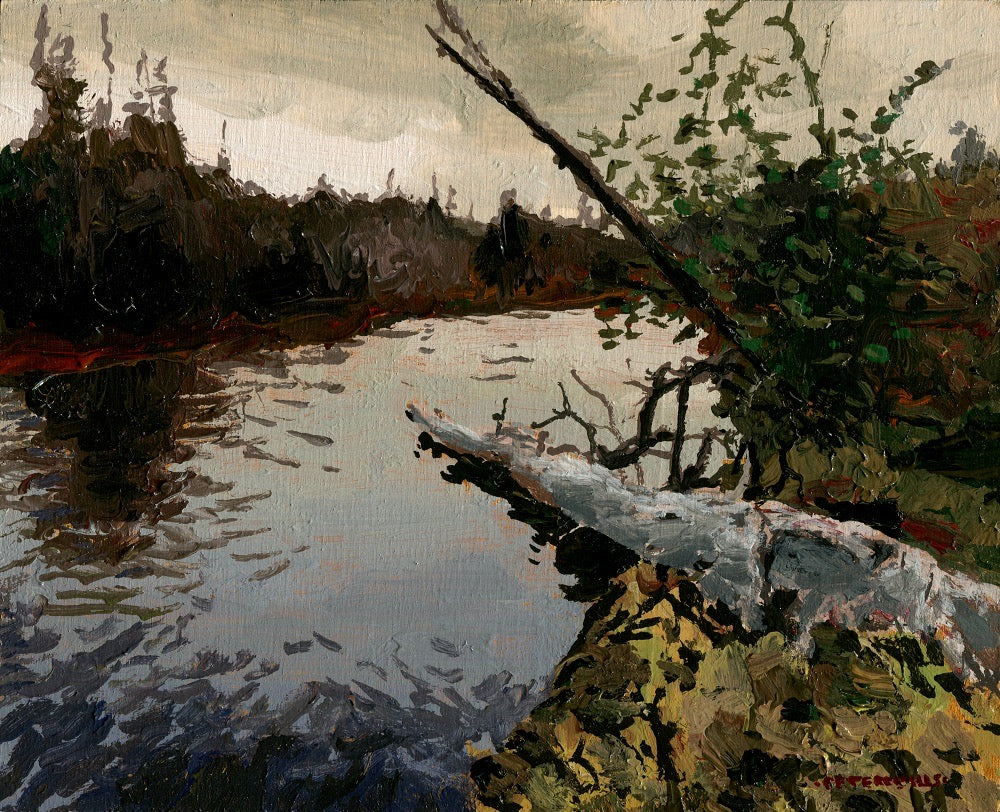 Log in the River