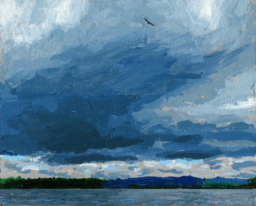 Eagle at Lake Travers