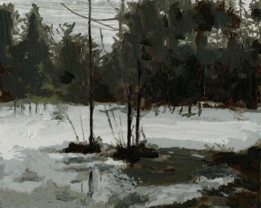 Pine-Bog at Thaw