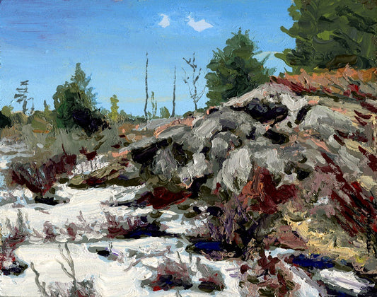 Rock and Bog at Thaw