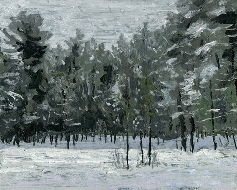 Pine-Bog in Winter