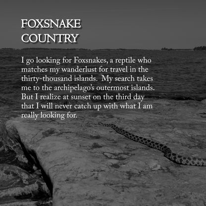 Letters from The Broken Coast