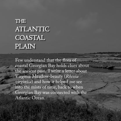 Letters from The Broken Coast