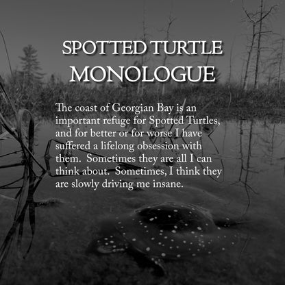 Letters from The Broken Coast