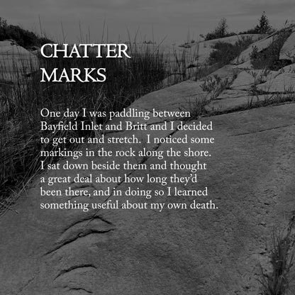 Letters from The Broken Coast