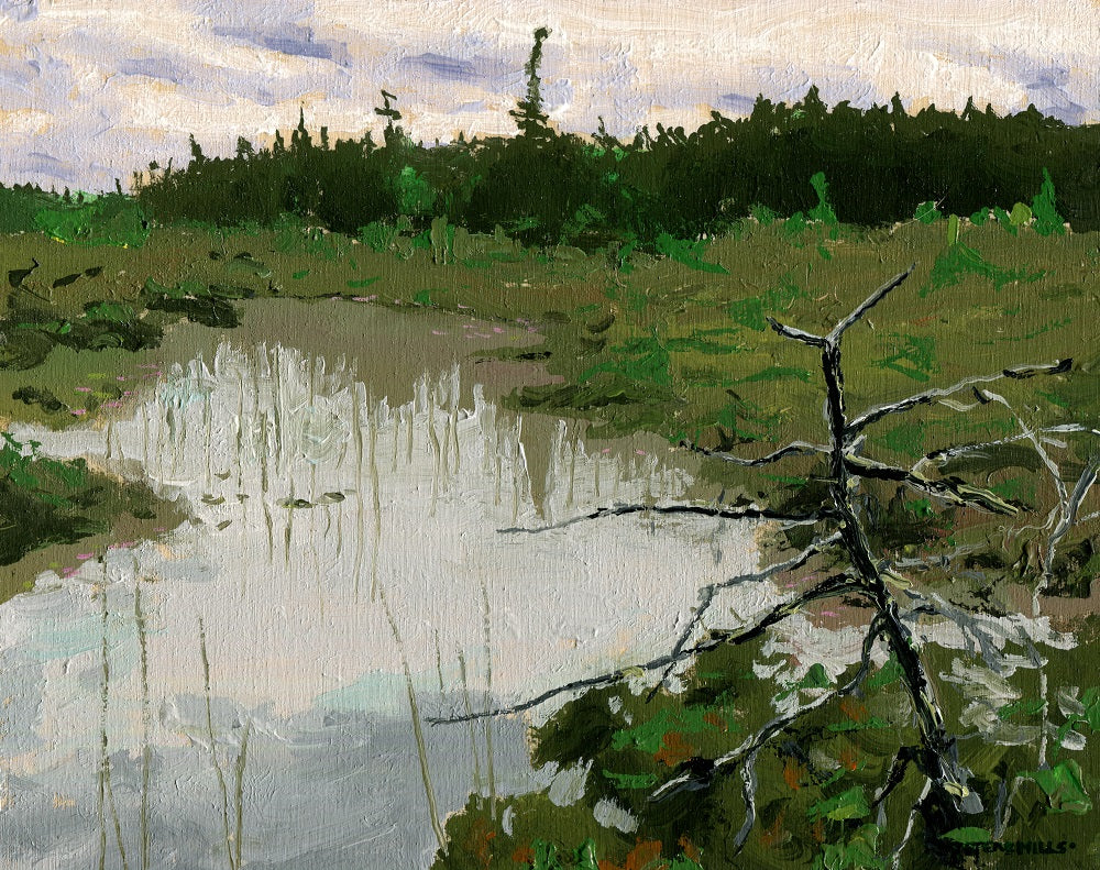 Reflections in the Marl