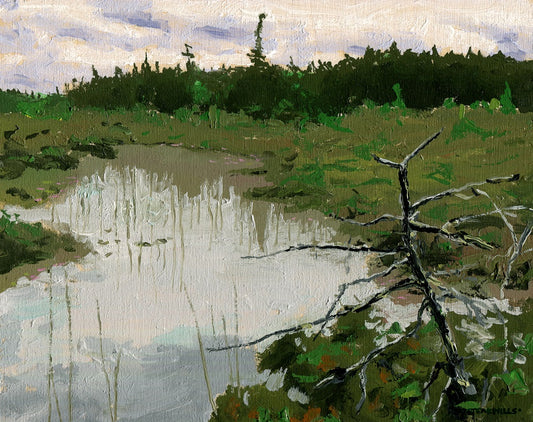 Reflections in the Marl