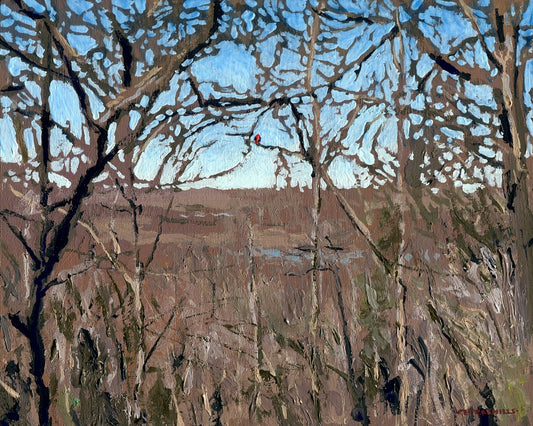 Return of the Scarlet Tanager