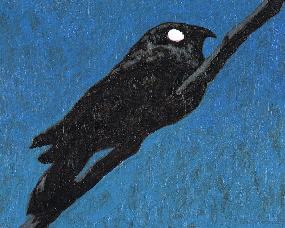 Whippoorwill Eyeshine