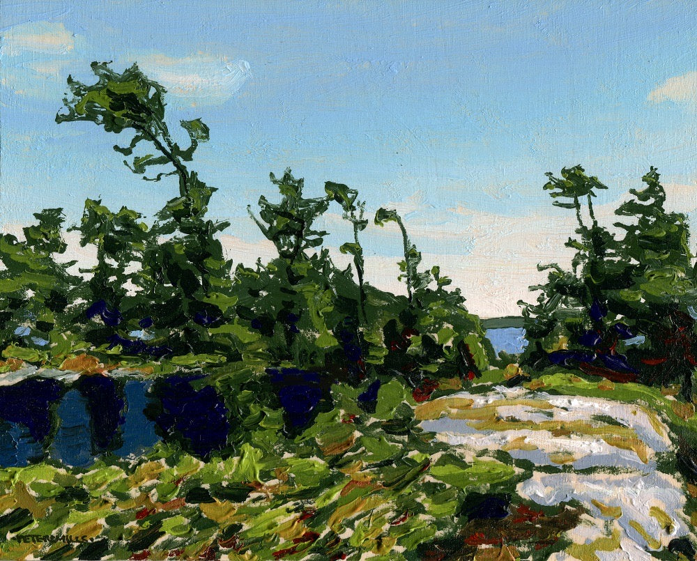 Pines and Island Strait