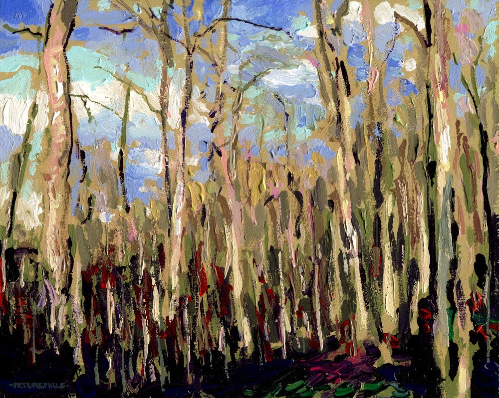 Spring Evening on the Bluff