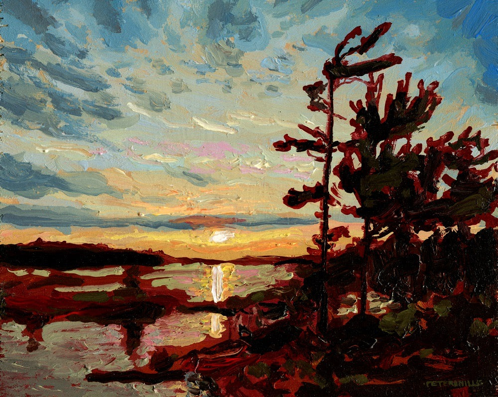 Evening at The Elephant