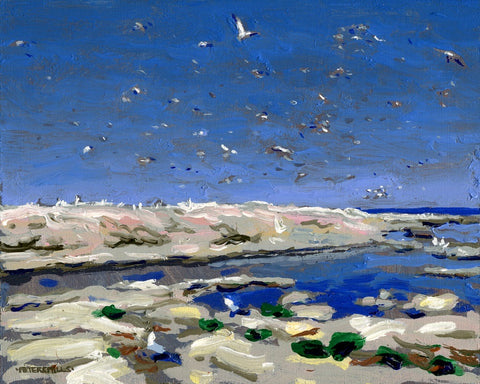 Gulls at Silent Island