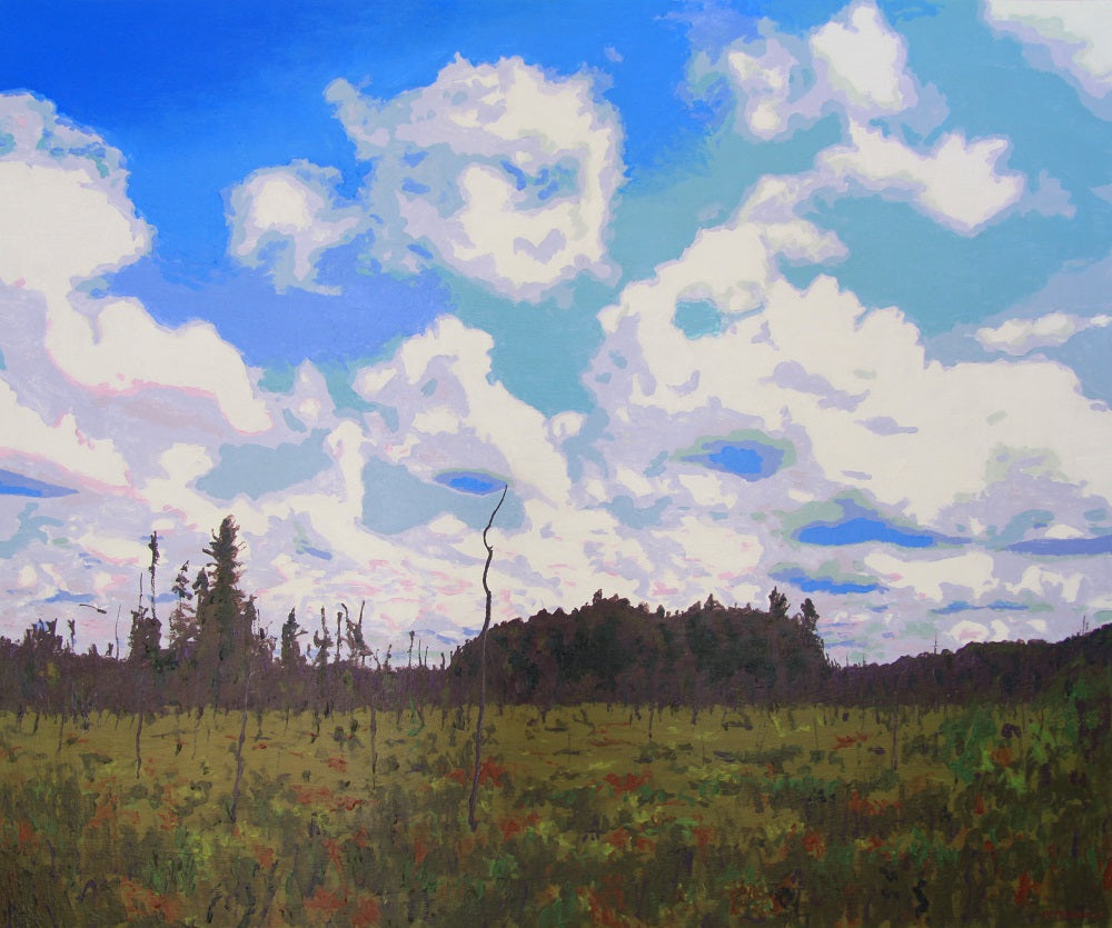 Clouds Over Arethusa Bog