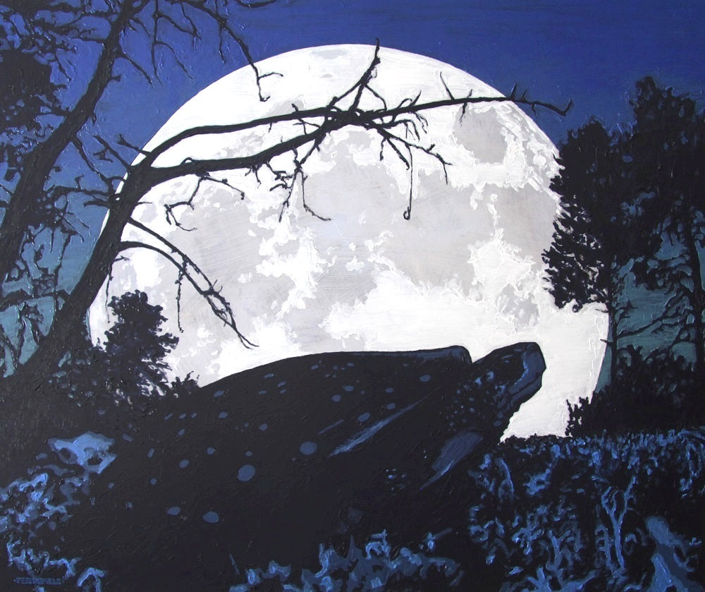 Moon and Nesting Spotted Turtle