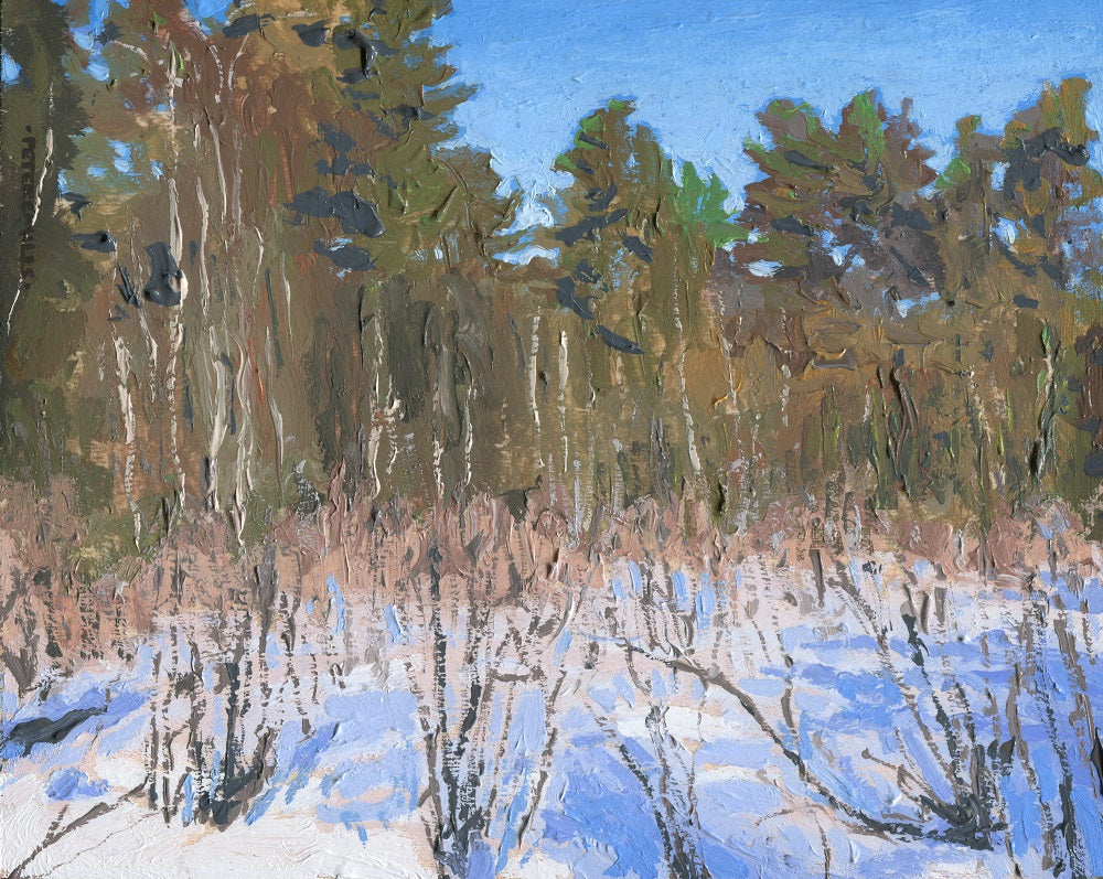 Alder Thicket in March