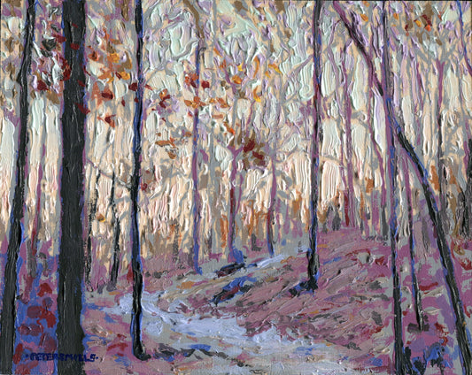 Autumn Woods, Early Morning