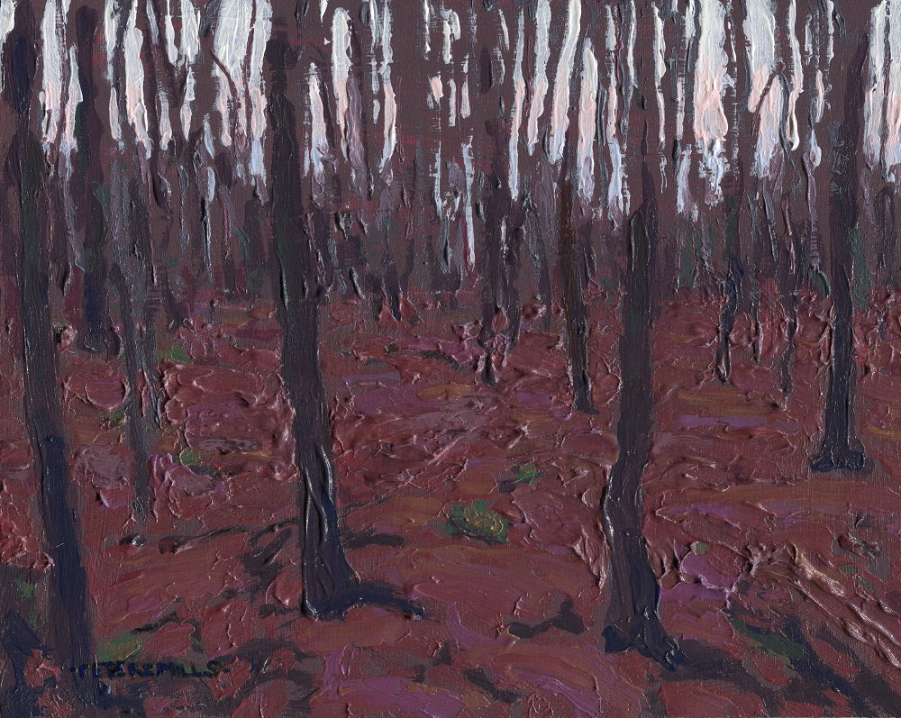 Bare Woods, Low Light