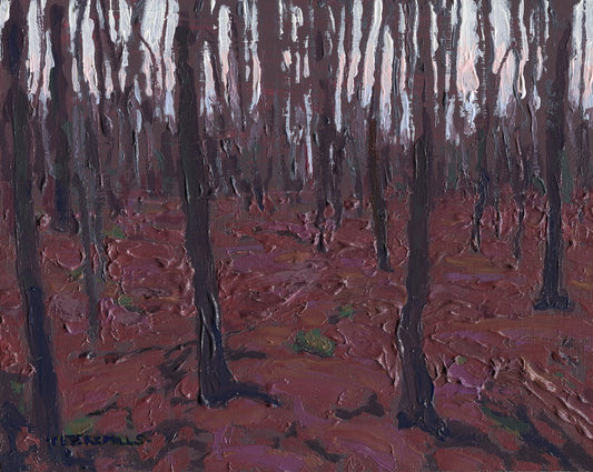 Bare Woods, Low Light