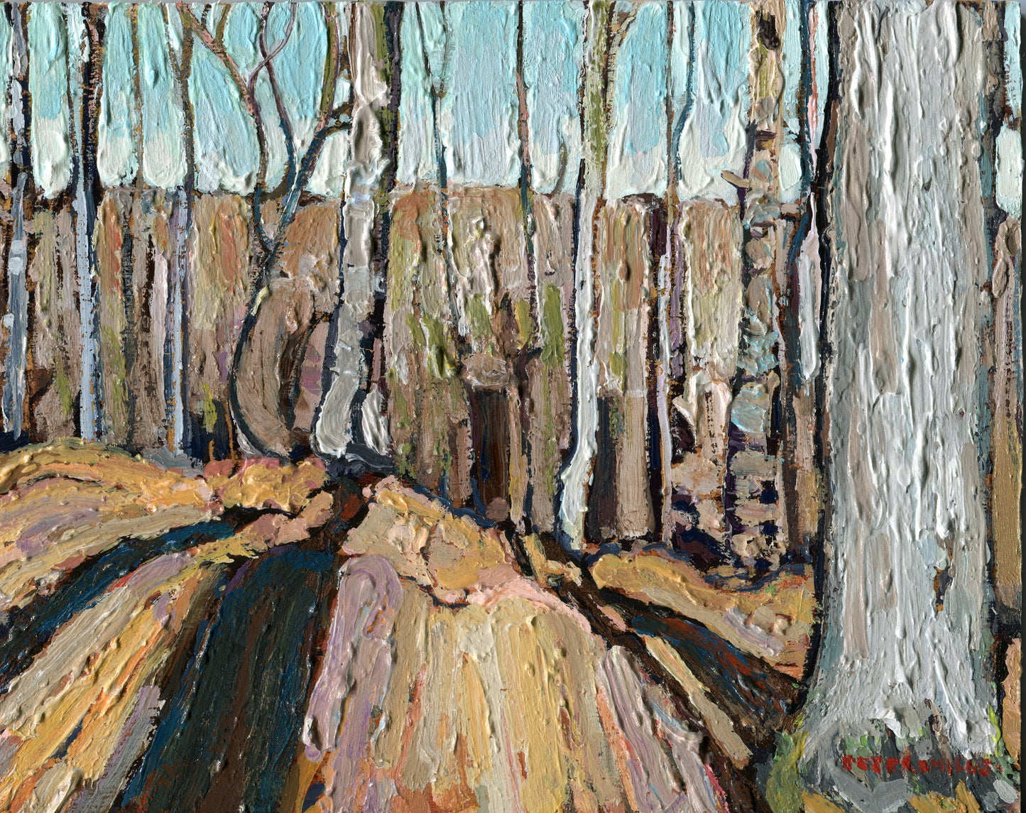 Bare Woods and Shadows