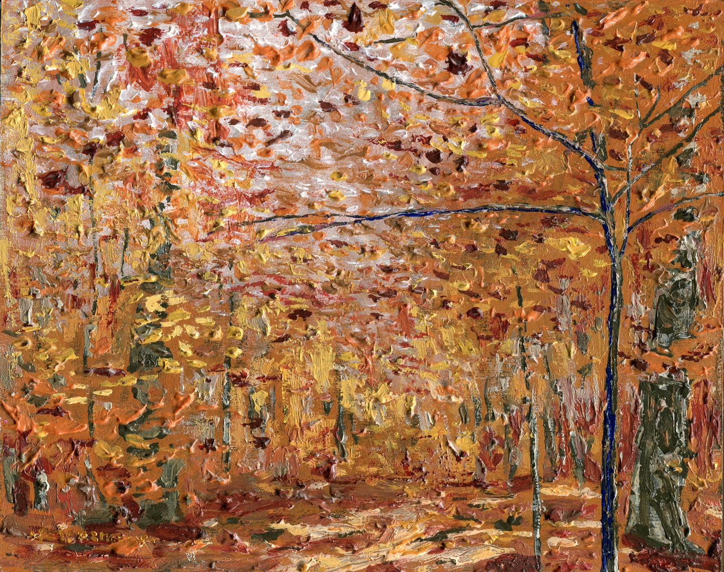 Beech Forest in October