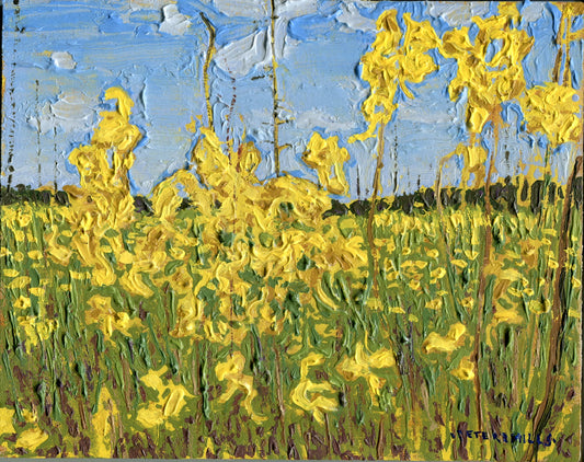 Utricularia in Bloom (sketch)