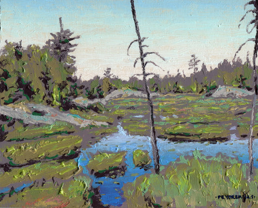Bog Pond in the Barrens