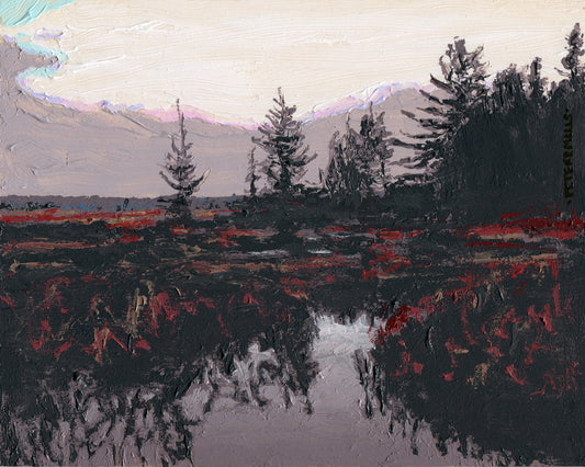 Bog in April